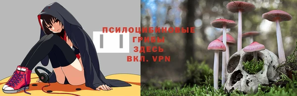 шишки Алексин
