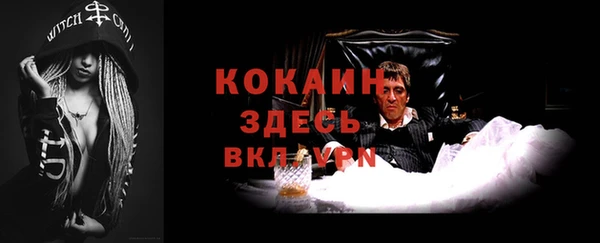 ECSTASY Алзамай