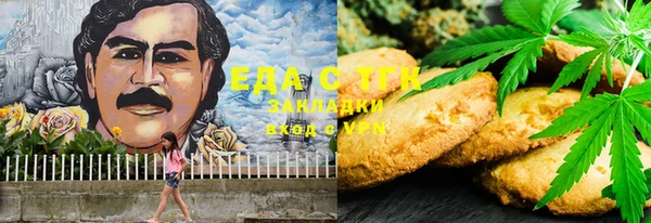 ECSTASY Алзамай