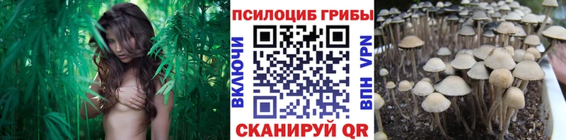 Галлюциногенные грибы MAGIC MUSHROOMS  купить  сайты  Кореновск 