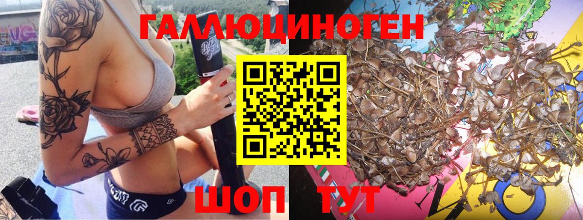 Кореновск  Галлюциногенные грибы Cubensis  как найти закладки  Вход с VPN 
